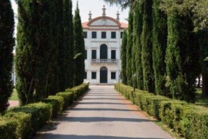 centro card g urbani zelarino